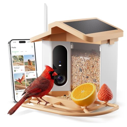 BirdBough smart bird feeder with 4K camera, solar roof and seed tray