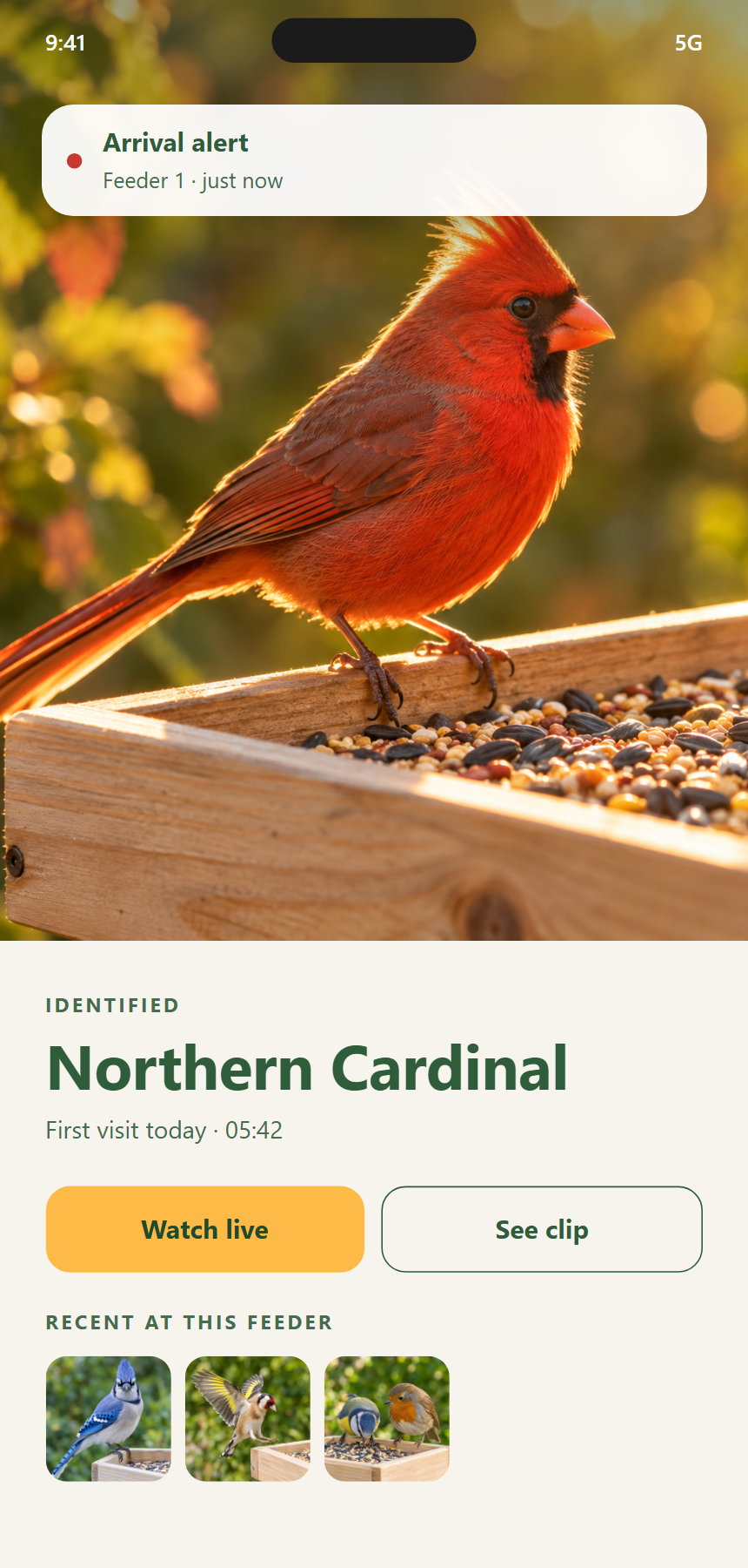 App screen showing an arrival alert for a Northern Cardinal, with Watch live and See clip buttons