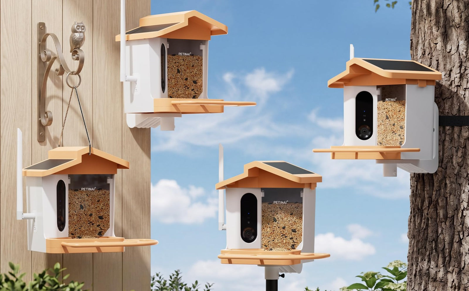 The same feeder mounted four ways: wall bracket, pole, tree strap and hanging hook